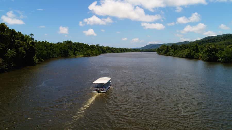 Cairns: Daintree Rainforest Wildlife Experience Cruise - Cruising the mangrove estuary: what the hour actually looks like