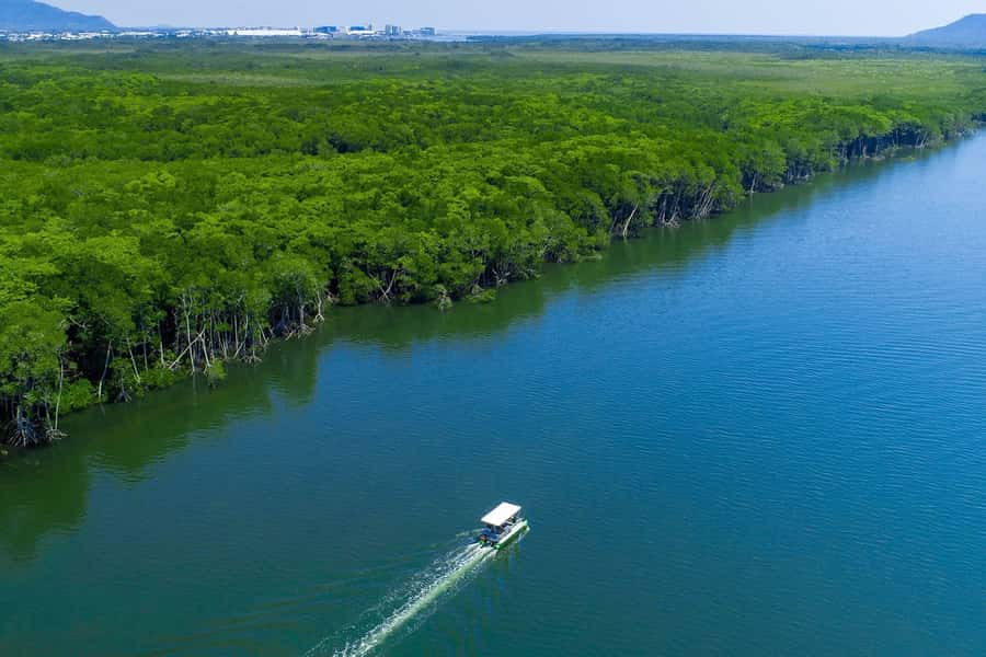 Cairns: Dinghie (tinny) Boat Hire - Key Points To Know Before You Go