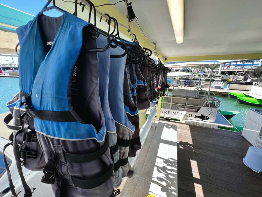 Cairns: Dinghie (tinny) Boat Hire - Mangroves, Wildlife, and Crocodiles: Watching Smart Without Freaking Out