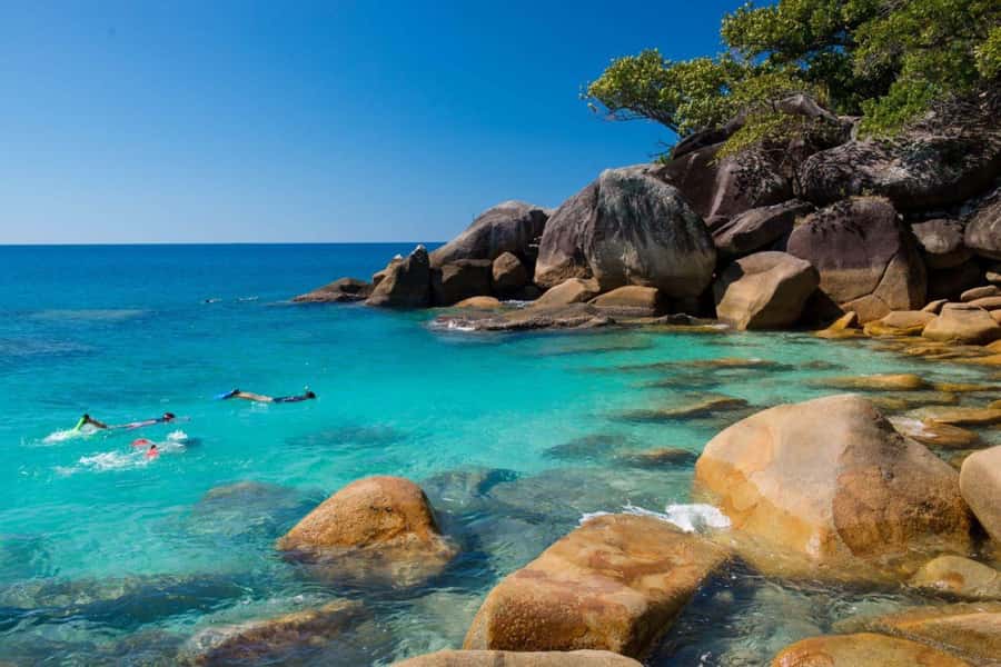 Cairns: Fitzroy Island Ferry with Optional Lunch & Activity - Key highlights