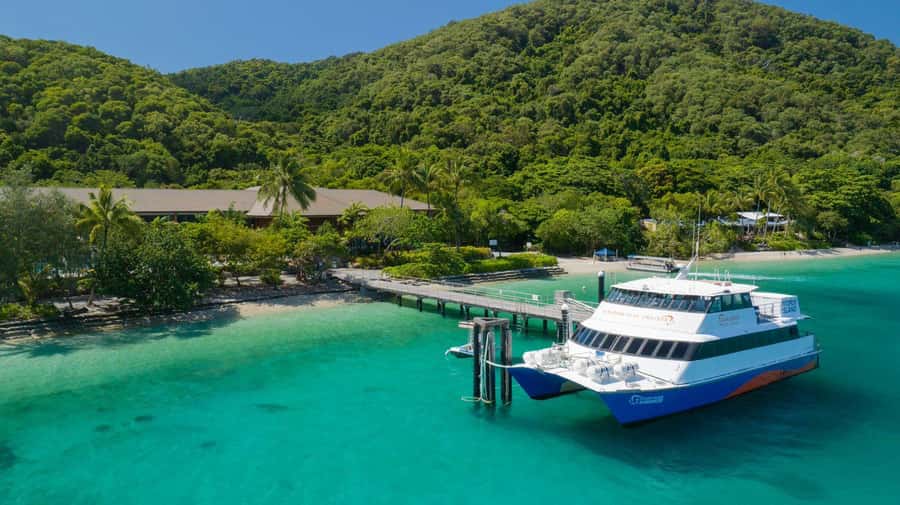 Cairns: Fitzroy Island Ferry with Optional Lunch & Activity - Why Fitzroy Island Works as a Cairns Day Trip