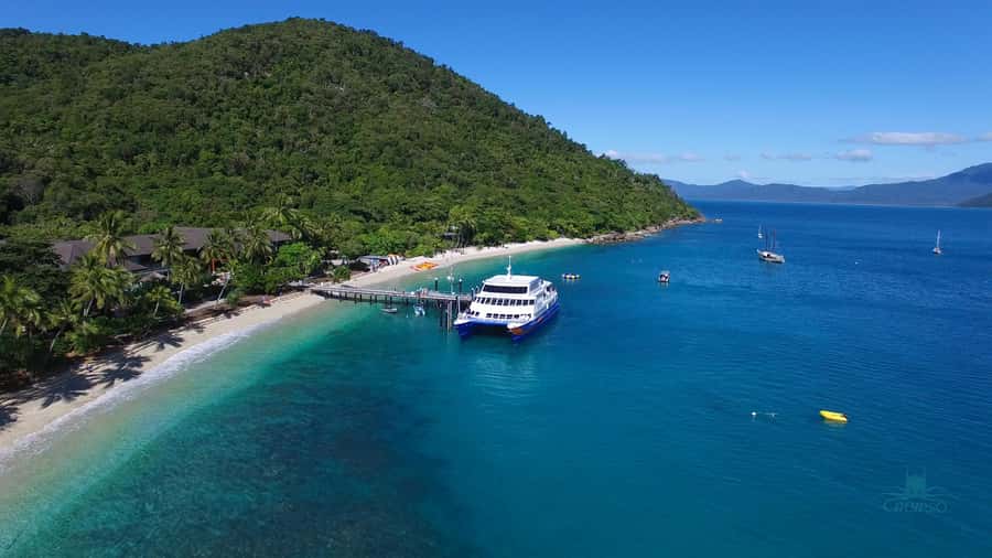 Cairns: Fitzroy Island Ferry with Optional Lunch & Activity - Picnic Lunch Box Value: Dietary Options and What to Expect