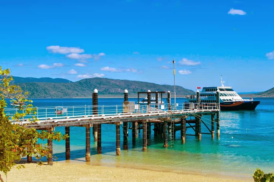 Cairns: Fitzroy Island Ferry with Optional Lunch & Activity - Should You Book This Cairns to Fitzroy Island Ferry Day Trip?