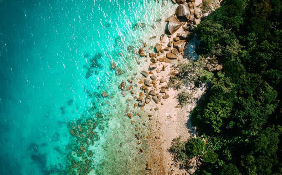 Cairns: Fitzroy Island Ferry with Optional Lunch & Activity - The Catamaran Ride: Timing, Check-In, and What to Expect