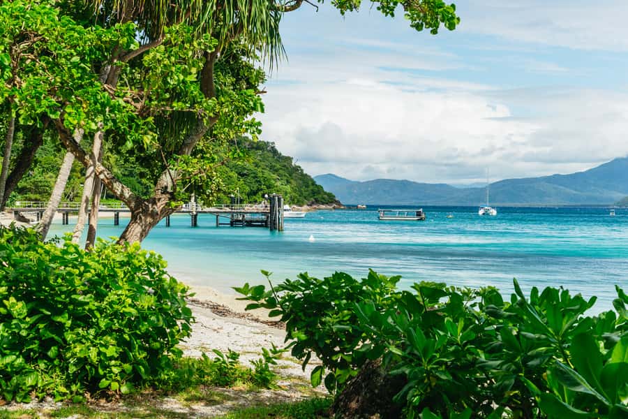 Cairns: Fitzroy Island Full-Day Trip with Optional Extras - Key things to know before you go