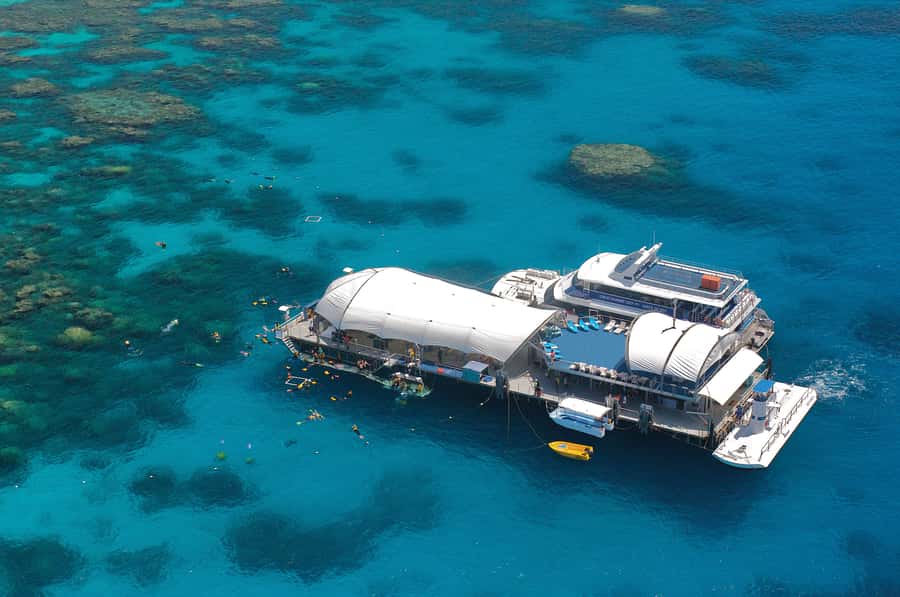 Cairns: Great Barrier Reef Cruise & 10 Minute Helicopter - Outer Reef platform: the 3-hour block that makes the day worth it