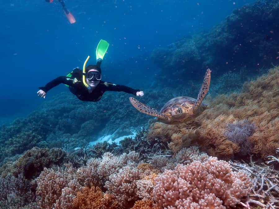 Cairns: Great Barrier Reef Cruise & 10 Minute Helicopter - The 10-minute helicopter flight: the moment you will talk about later