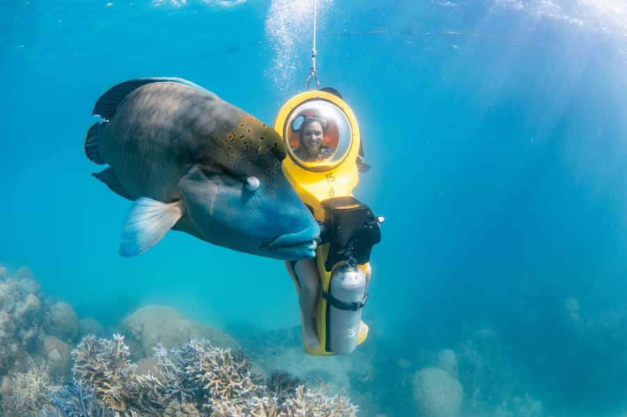 Cairns: Great Barrier Reef Cruise & 10 Minute Helicopter - Price and value: what $332 gets you