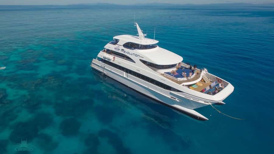 Cairns: Great Barrier Reef Cruise & Scenic Helicopter Flight - Saxon Reef: Two Hours Where Snorkelling Actually Gets Time to Happen