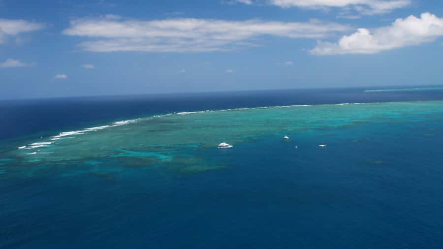 Cairns: Great Barrier Reef Cruise & Scenic Helicopter Flight - Hastings Reef and the 10-Minute Helicopter Flight That Changes Everything