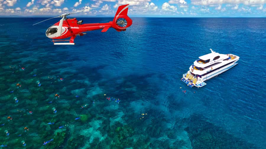 Cairns: Great Barrier Reef Cruise & Scenic Helicopter Flight - Price and Value: Is $279 Worth It?