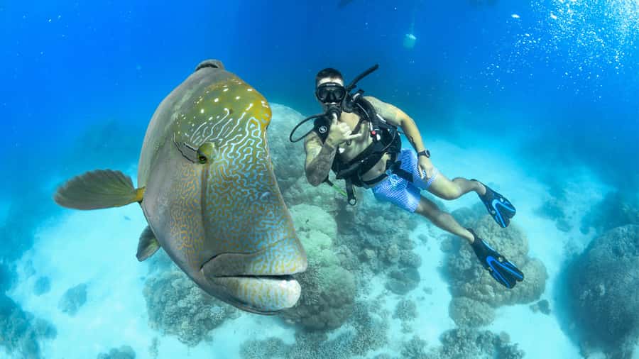 Cairns: Great Barrier Reef Cruise & Scenic Helicopter Flight - Getting Comfortable Onboard a 35-Meter Superyacht (Evolution)