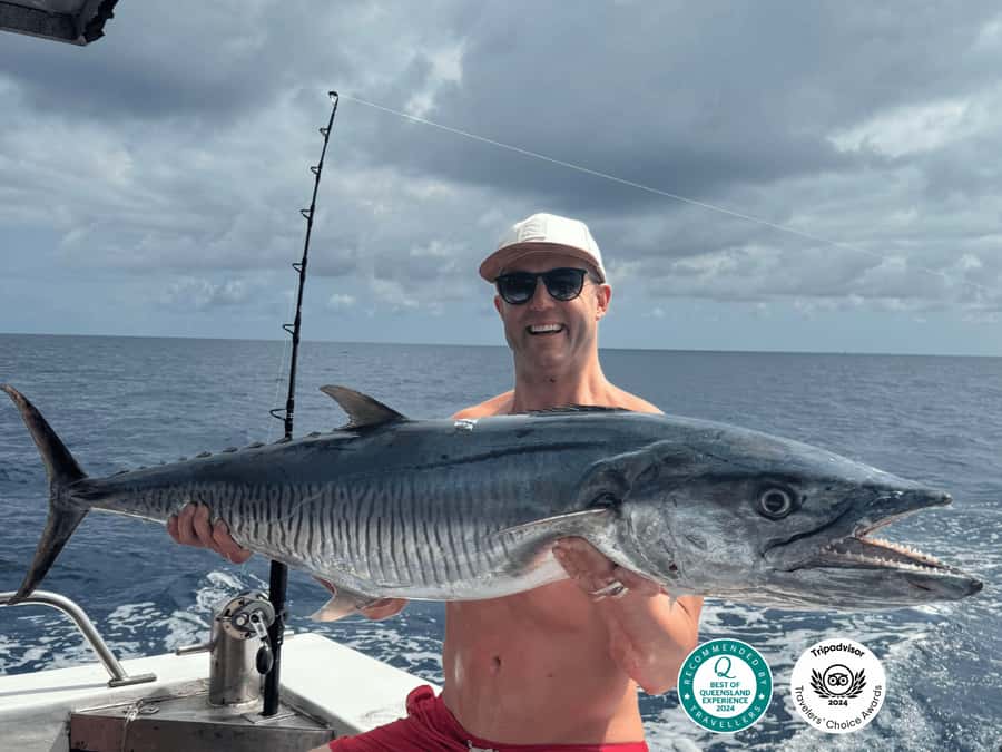 Cairns: Great Barrier Reef Fishing Charter with Lunch - Key Highlights You Should Care About