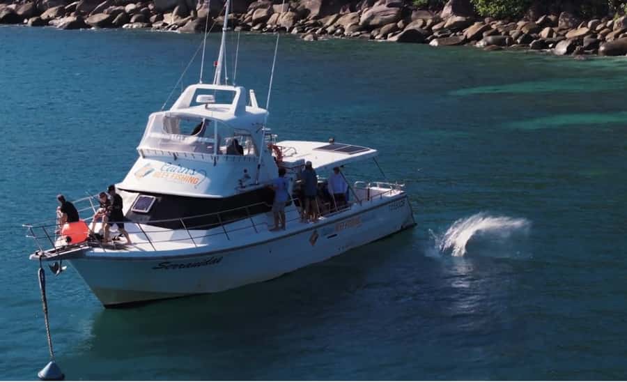 Cairns: Great Barrier Reef Fishing Charter with Lunch - Price and Value: What $240 Really Covers