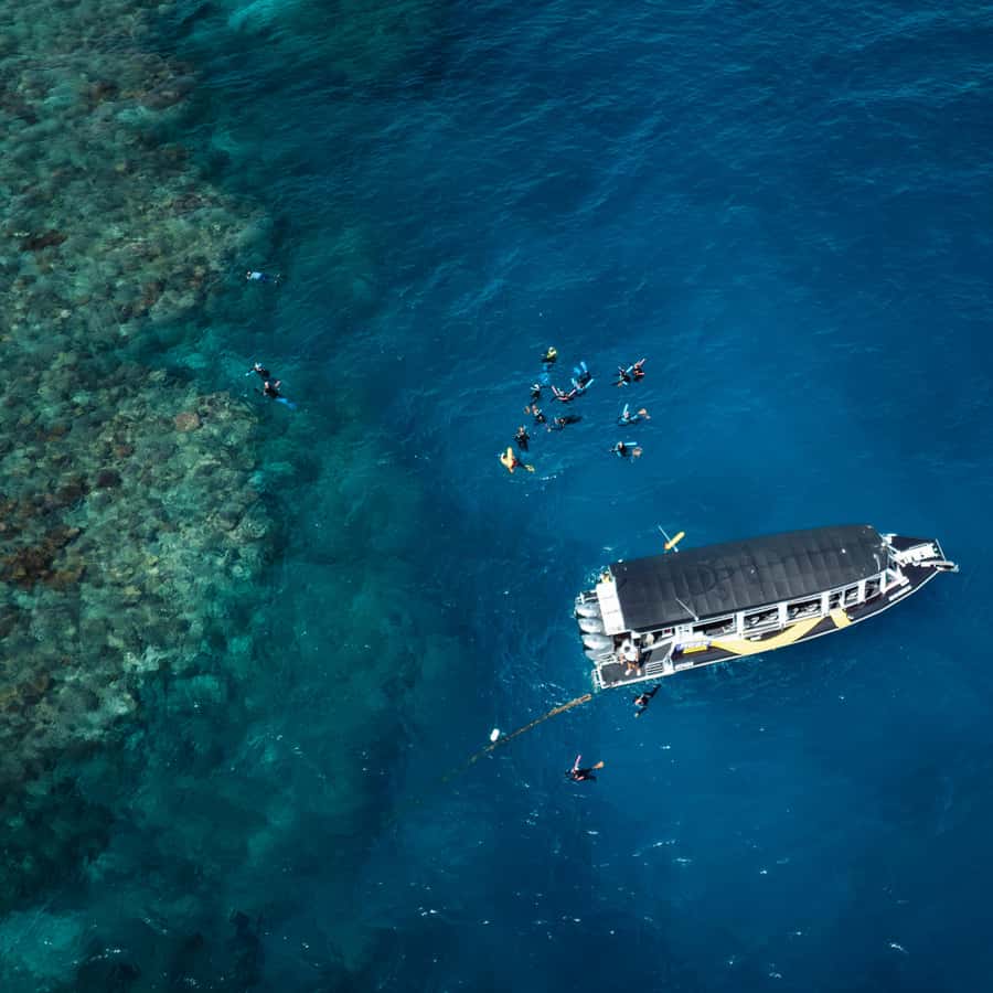 Cairns: Great Barrier Reef Half-Day Snorkelling Tour - Entering Reef Time: Pier Shopping Centre to Cairns Marlin Marina