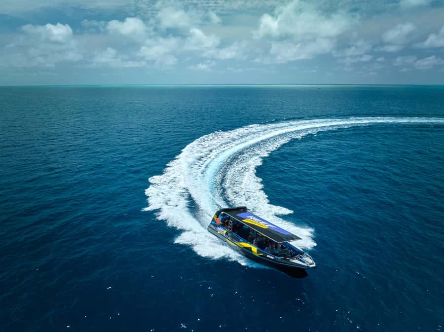 Cairns: Great Barrier Reef Half-Day Snorkelling Tour - Price and value: is $126 per person worth it?