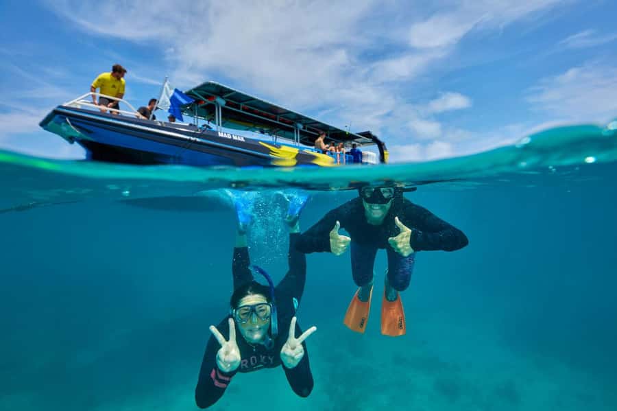 Cairns: Great Barrier Reef Half-Day Snorkelling Tour - Who this tour fits best (and who should think twice)