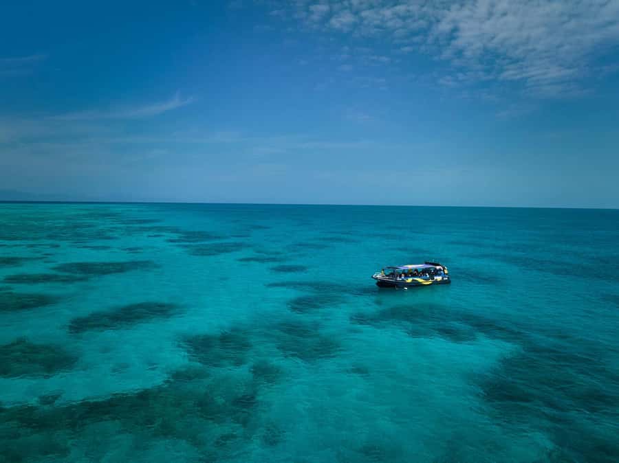 Cairns: Great Barrier Reef Half-Day Snorkelling Tour - The fast boat to the World Heritage Reef (and why it feels exciting)