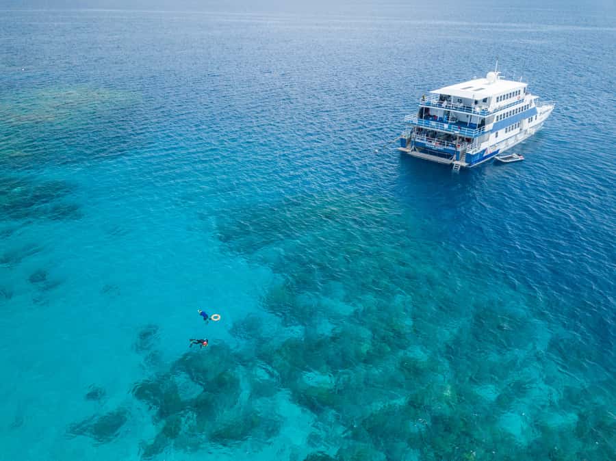 Cairns: Great Barrier Reef Overnight Snorkelling Boat Trip - Key things I’d focus on before you book
