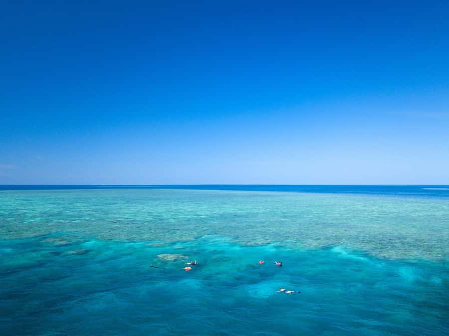 Cairns: Great Barrier Reef Overnight Snorkelling Boat Trip - The snorkelling routine at Saxon, Norman, and Hastings Reef
