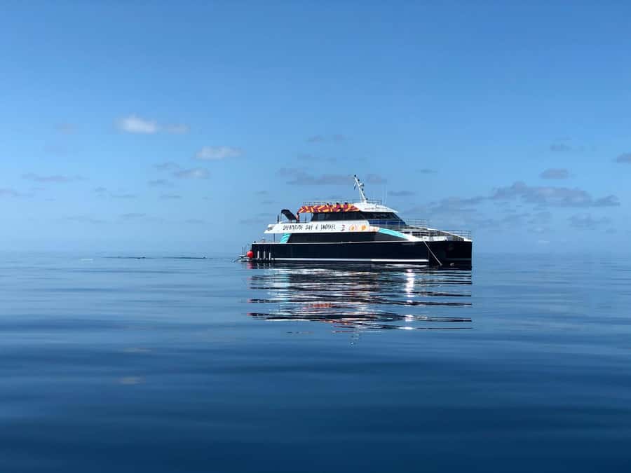Cairns: Great Barrier Reef Premium Diving Full Day Tour - The heart of the day: two outer reef sites and 5 hours in the water