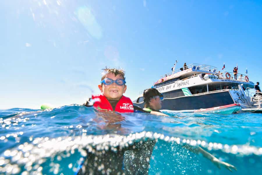 Cairns: Great Barrier Reef Premium Diving Full Day Tour - Marine life you can realistically expect to spot