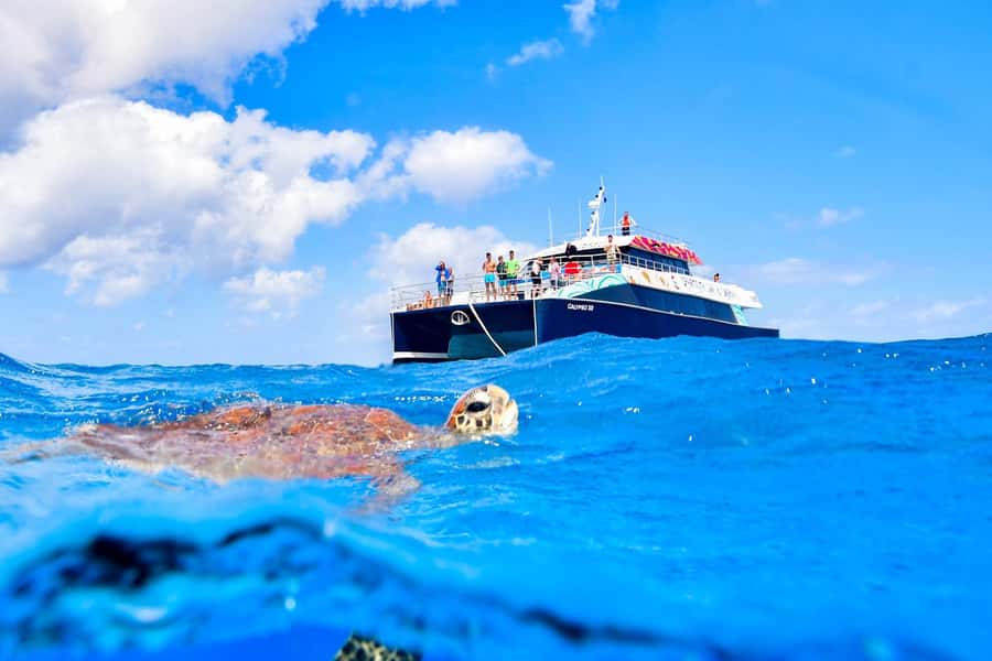 Cairns: Great Barrier Reef Premium Diving Full Day Tour - Price and value: is $127 fair for a full reef day?