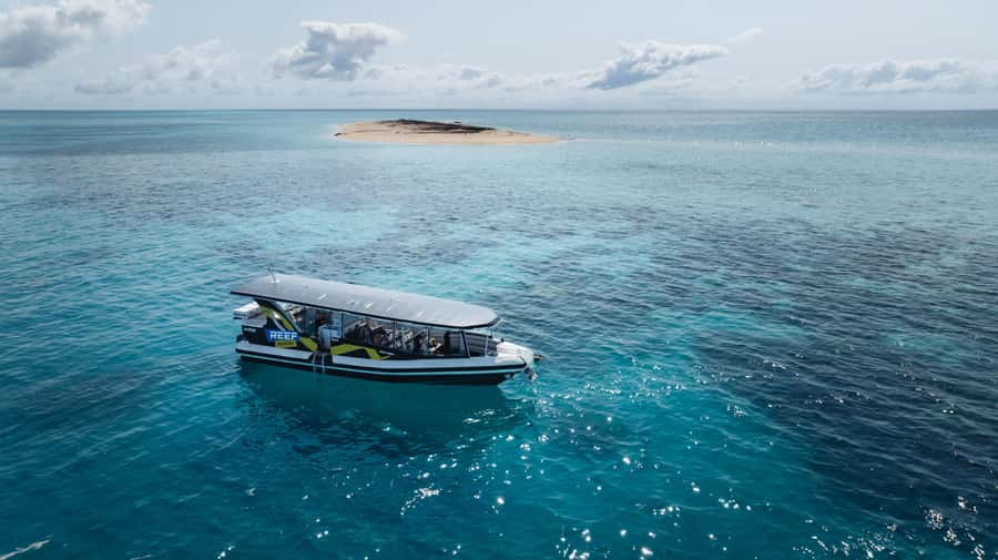 Cairns: Great Barrier Reef Small Group Snorkelling Tour - Weather, Jellyfish Season, And Motion Sickness Reality Check