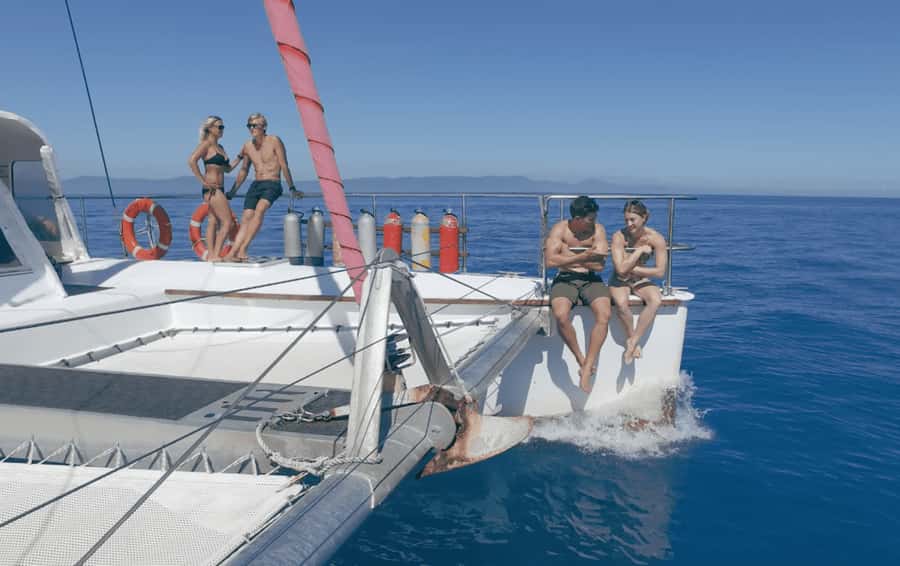 Cairns: Great Barrier Reef Snorkeling Tour with Lunch - Key highlights I’d bank on