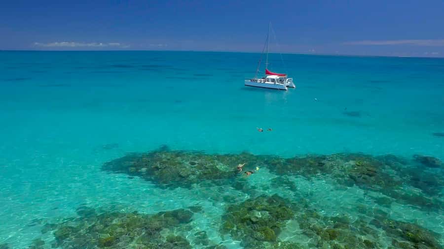 Cairns: Great Barrier Reef Snorkeling Tour with Lunch - The catamaran routine, from check-in to scenic sailing