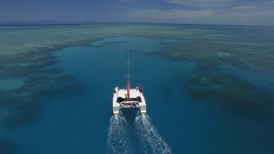 Cairns: Great Barrier Reef Snorkeling Tour with Lunch - First snorkeling session: warm water, guided spotting, easy entry