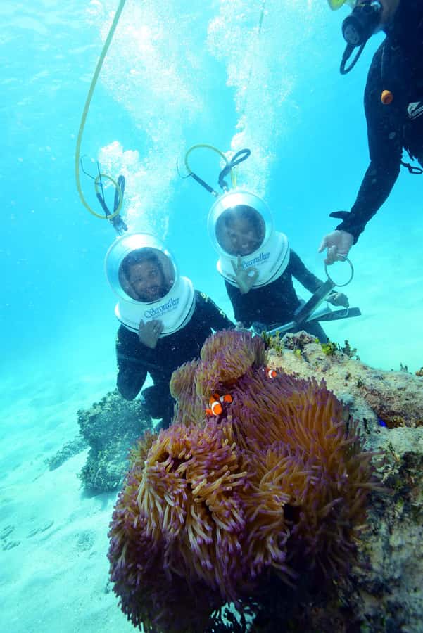Cairns: Green Island and Seawalker Helmet Dive Combo - Cairns to Green Island by air-conditioned catamaran