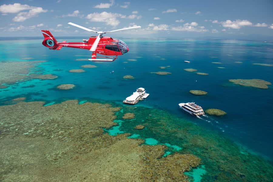 Cairns: Green Island + Moore Reef Activity Platform Combo - Who This Tour Fits Best (and Who Might Not Love It)