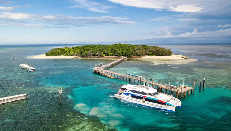 Cairns: Green Island + Moore Reef Activity Platform Combo - Green Island: Rainforest Cay, Clear-Water Snorkel, and Time to Reset