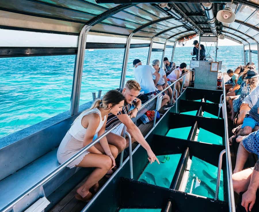 Cairns: Green Island, Snorkelling and Glass-Bottom Boat - Quick hits