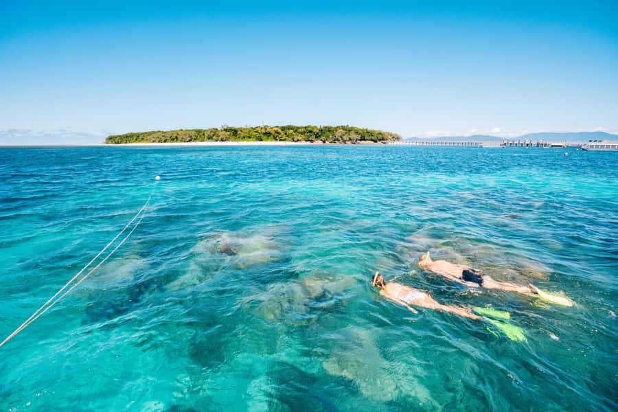 Cairns: Green Island, Snorkelling and Glass-Bottom Boat - Getting to Green Island: catamaran transfers and timing that shapes your day