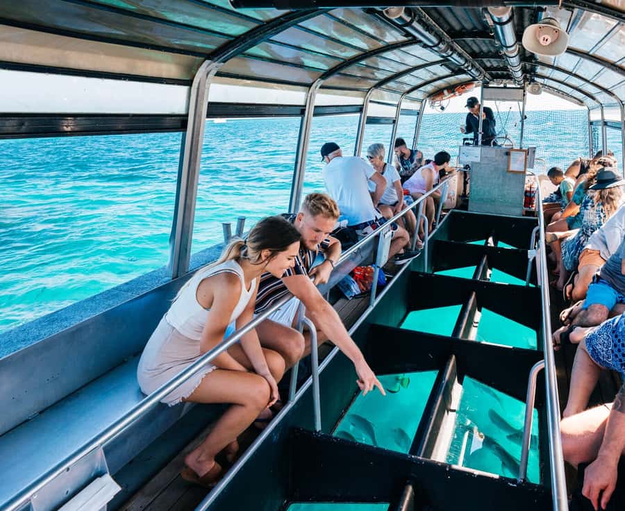 Cairns: Green Island Snorkelling or Glass Bottom Boat - Key Highlights Worth Your Time
