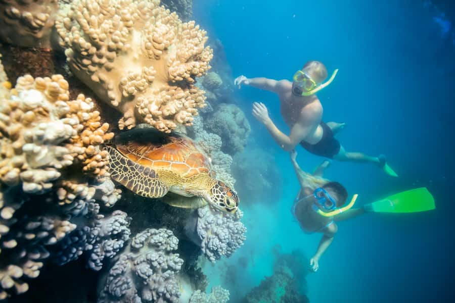 Cairns: Green Island Snorkelling or Glass Bottom Boat - Snorkeling Off the Sand vs the Glass Bottom Boat: Pick the Reef Option That Fits You