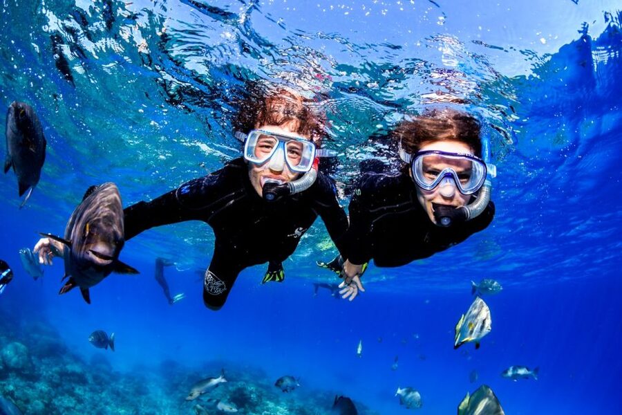 Cairns: Half-Day Outer Reef Snorkel Tour - Who Should Book This Outer Reef Snorkel Tour