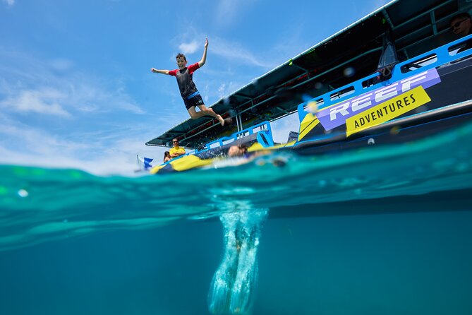 Cairns Half Day Tour a Great Barrier Reef Snorkeling Experience - Why this half-day Reef plan actually fits Cairns