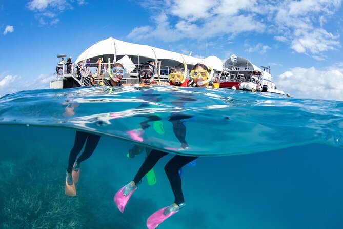 Cairns Half Day Tour a Great Barrier Reef Snorkeling Experience - Snacks, photos, and how the crew keeps things smooth