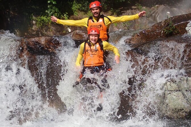 Cairns Half Day Tour a Great Barrier Reef Snorkeling Experience - Price and value: is $128.39 worth a half-day?