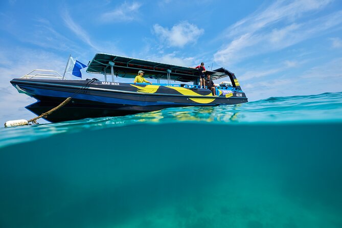 Cairns Half Day Tour a Great Barrier Reef Snorkeling Experience - Weather reality: how to avoid a bad water day