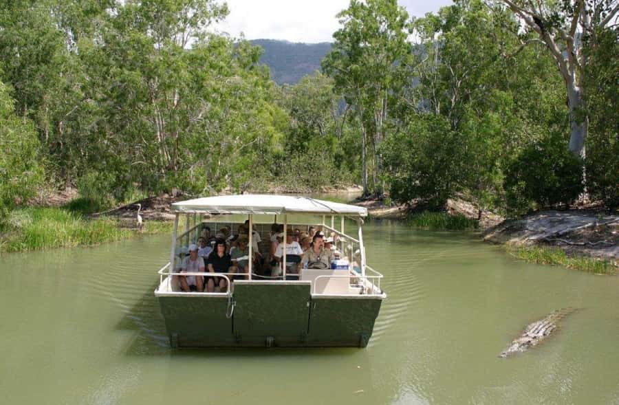 Cairns: Hartley's Crocodile Adventures Visit with Transfer - The snake show: Up close, clear, and not just entertainment