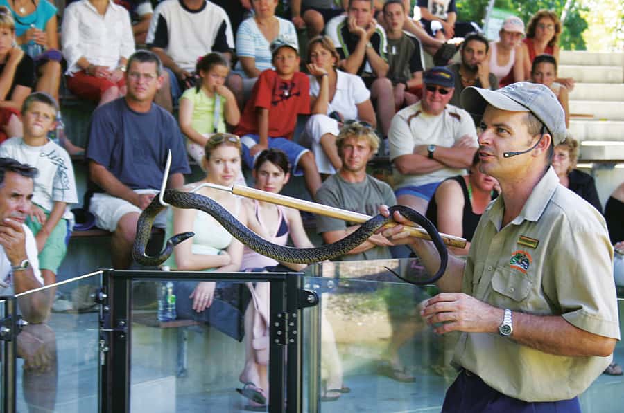 Cairns: Hartley's Crocodile Adventures Visit with Transfer - Inside Hartley’s: Rainforest boardwalks and wildlife on your schedule