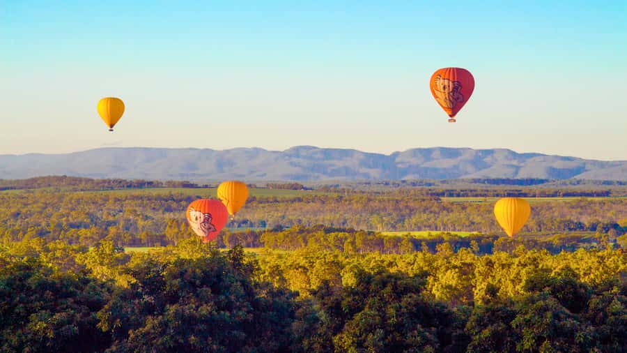 Cairns: Hot Air Balloon Flight with Transfers - Breakfast snack and the sparkling wine or juice toast