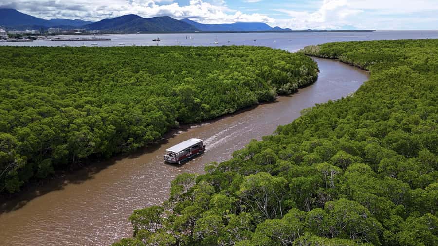 Cairns: Immersive Small Group Indigenous Cultural Experience - Why Mandingalbay Yidinji Country feels close, even from Cairns Marina