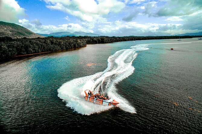 Cairns Jet Boat Ride - Mangroves, wildlife, and the crocodile watch