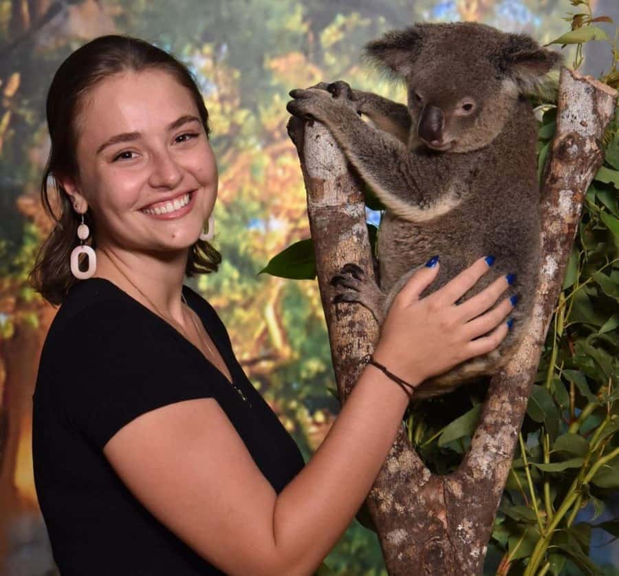 Cairns Koalas and Creatures Entry Ticket with Koala Photo - The Included Koala Photo: How to Plan for the Best Keepsake