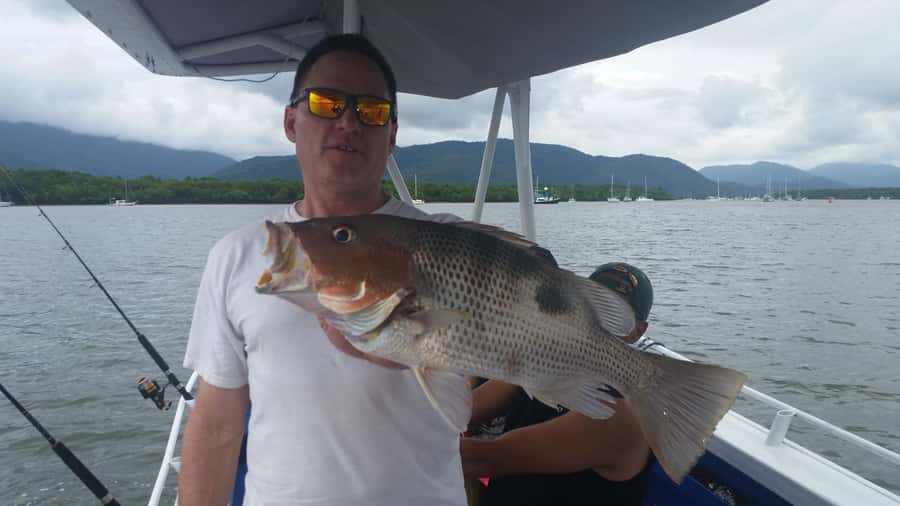Cairns: Morning Estuary Fishing Charter - Cairns Estuary Fishing on Trinity Inlet: What Makes It Worth the Early Start